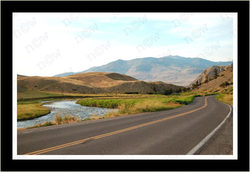 End of the Road (Nicole Wolf)