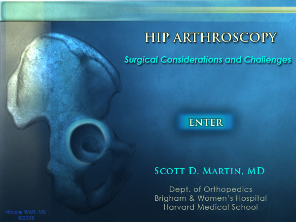 Hip Arthroscopy Interactive